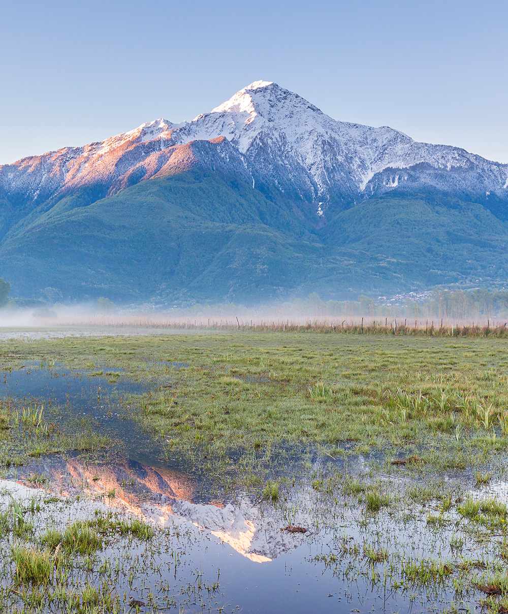 La Riserva Naturale Pian di Spagna e Lago di Mezzola